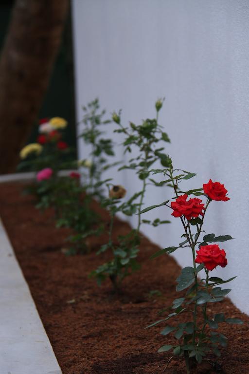 Villa Dineha Hikkaduwa Exterior foto